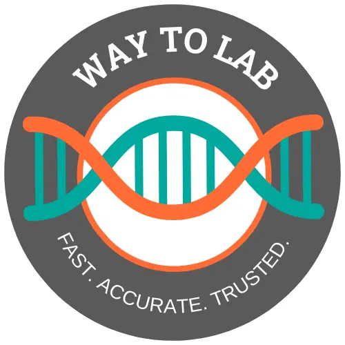 WayToLab Logo